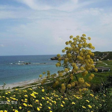Marina Apartment B 16 - Tatlisu Trnc Akanthou Exterior photo